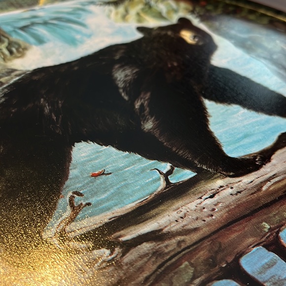 Vintage 1950's James L. Artig Tin Bear Tray - Picture 4 of 6